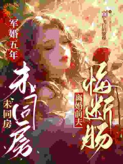 姜苏陈辉小说军婚五年未同房，离婚前夫悔断肠免费阅读
