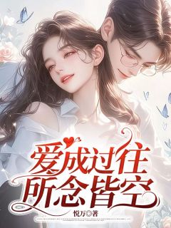爱成过往，所念皆空免费阅读全文，主角念安宁昊小说-暗夜阅读网