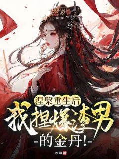 抖音涅槃重生后，我捏爆渣男的金丹！txt小说阅读