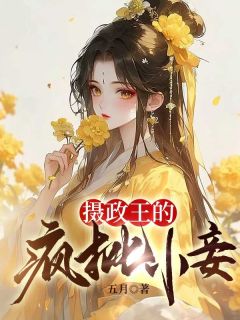 柳柒柒沈昭全文最新章节正版小说免费阅读