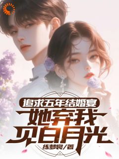 楚焱洛清妍追求五年，结婚宴她弃我见白月光完结版小说全文免费阅读