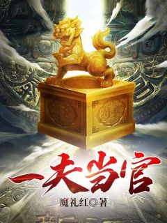 （全本）官途：一夫当官，鸡犬升天主角陆涛陈珮全文目录畅读-暗夜阅读网