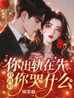 作者锦棠写的你出轨在先，我离婚你哭什么小说大结局全章节阅读