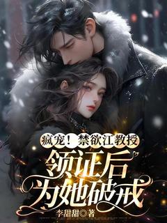 书荒推荐疯宠！禁欲江教授领证后为她破戒(安锦阳江靳琛)在线试读