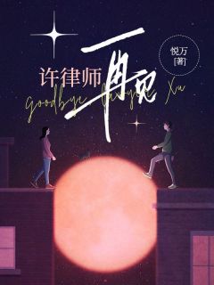 最完整版许律师，再见热门连载小说