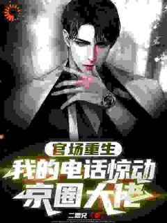 官场重生，我的电话惊动京圈大佬林向阳高洁-二思兄小说