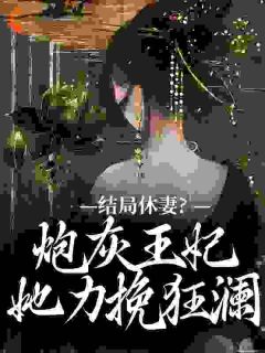 抖音爆款结局休妻？炮灰王妃她力挽狂澜李天娇玉宸无广告阅读-暗夜阅读网
