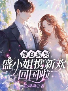 强烈推荐傅总别哭，盛小姐携新欢回国啦盛相思傅寒江在线阅读