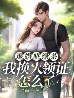 退婚哄绿茶，我换人领证怎么了(许星染贺寒声)小说全章节目录阅读-暗夜阅读网