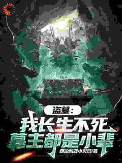 热文盗墓：我长生不死，墓主都是小辈小说-主角陈玄霍湘云全文在线阅读