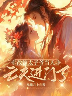 小叔子兼祧两房后，夫君回来了完整版免费阅读，林之念陆缉尘小说大结局在哪看