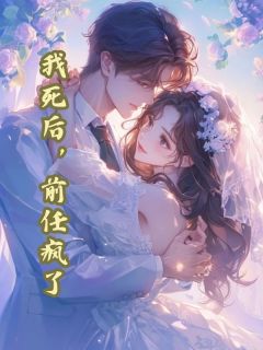 我死后，前任疯了主角是方茴傅景琛小说百度云全文完整版阅读