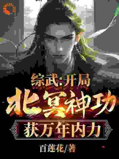 快手热文综武：开局北冥神功，获万年内力朱文轩段正淳小说推荐