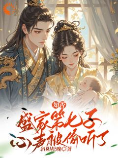 知否：盛家第七子心声被偷听了（常松卫恕意）精彩小说目录阅读