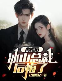 离婚后，冰山总裁后悔了(已根崛起)最佳创作小说全文在线阅读