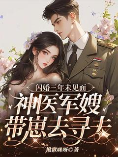 抖音闪婚三年未见面，神医军嫂带崽去寻夫by揪揪咪呀在线阅读