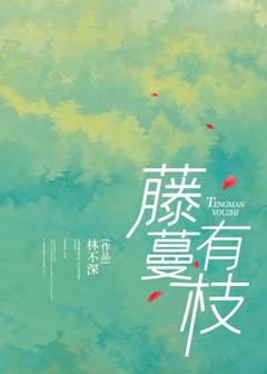 快手藤蔓有枝小说全本章节大结局