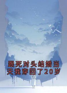 跟死对头结婚当天我穿回了20岁by叶槿栖免费阅读小说大结局