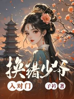 （全本）换错少爷入对门主角叶清柔姜临风陆舟全文目录畅读