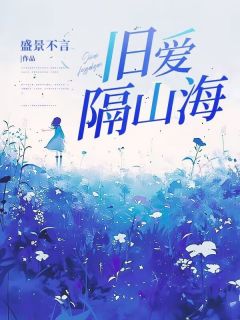 旧爱隔山海小说(完本)-辛怡陆鸣无错版阅读