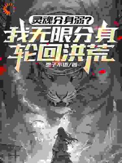 灵魂分身弱?我无限分身轮回洪荒小说免费阅读 苍劫苍月大结局完整版-暗夜阅读网