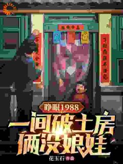 睁眼1988一间破土房俩没娘娃知乎小说最新章节阅读