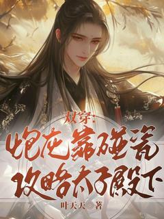 双穿：炮灰靠碰瓷攻略太子殿下小说最后结局，叶星竹顾云归百度贴吧小说全文免费