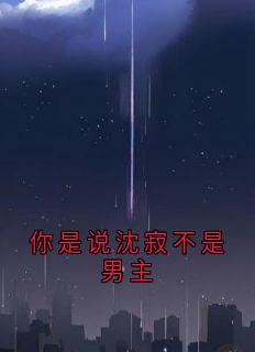 你是说沈寂不是男主小说沈寂沈漾江绾免费阅读-暗夜阅读网