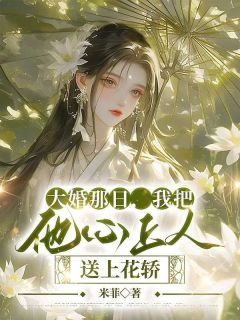 全章节小说大婚那日，我把他心上人送上花轿米菲最新阅读-暗夜阅读网