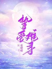 主角是姜悦傅恒的小说-挚爱难寻完整章节阅读