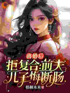 离婚后拒复合：前夫儿子悔断肠沈寒星傅景珩免费阅读-离婚后拒复合：前夫儿子悔断肠梧桐木木小说-暗夜阅读网