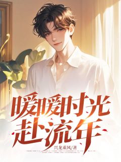 兴龙乘风的小说暖暖时光赴流年主角是林蔚然苏锦川