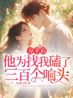 抖音分手后，他为找我磕了三百个响头txt小说阅读-暗夜阅读网