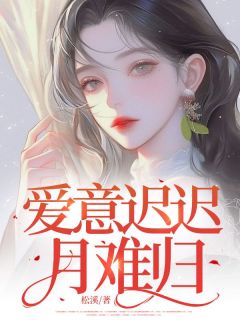谢灼月沈亦淮章节免费阅读