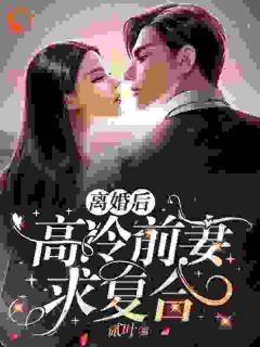 离婚后，高冷前妻求复合精彩章节-离婚后，高冷前妻求复合免费阅读全文