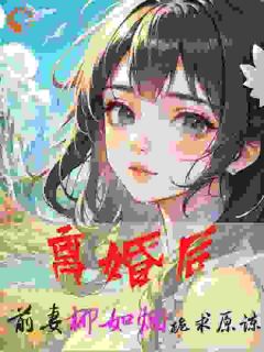 抖音小说离婚后，前妻柳如烟跪求原谅主角李凡环柳如烟全文小说免费阅读-暗夜阅读网