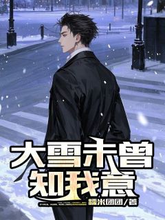 糯米团团写的小说大雪未曾知我意在线阅读