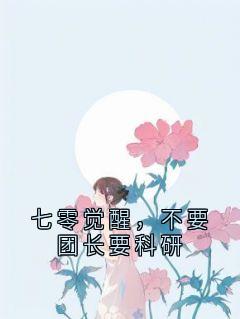 七零觉醒，不要团长要科研小说主角是顾念沈北漠全文完整版阅读-暗夜阅读网