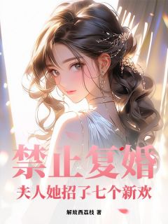 抖音爆款禁止复婚！夫人她招了七个新欢小说免费阅读