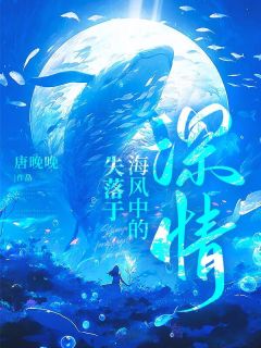失落于海风中的深情林杳沈清岩全章节目录免费阅读-暗夜阅读网