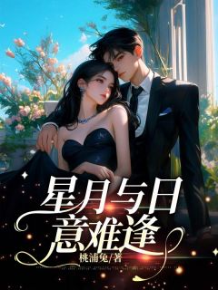 星月与日意难逢知乎小说最新章节阅读