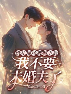 婚礼现场被抛下后，我不要未婚夫了是什么小说顾瑾言江婉月全本免费阅读-暗夜阅读网