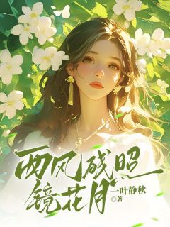 抖音西风残照镜花月by一叶静秋在线阅读-暗夜阅读网
