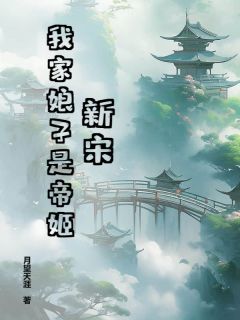 抖音爆款新宋：我家娘子是帝姬小说免费阅读