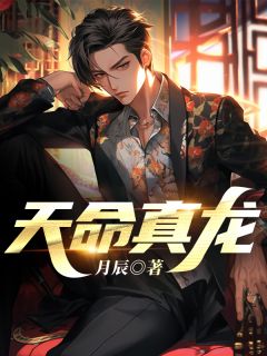姜晨叶清婵天命真龙全文(姜晨叶清婵)章节免费阅读