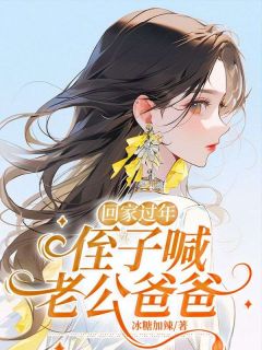 书荒必备回家过年，侄子喊老公爸爸全文章节阅读