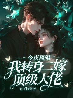 作者月下长安写的今夜离婚，我转身二嫁顶级大佬小说大结局全章节阅读