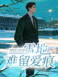 精彩小说顾辞深秦梦梦林宸清雪地难留爱痕全文目录畅读