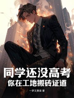 同学还没高考，你在工地搬砖证道？知乎后续免费试读-暗夜阅读网