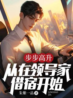 叶金鳞苏婉芸小说抖音热文步步高升完结版-暗夜阅读网